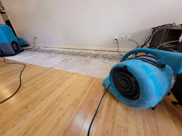 Professional Water Damage Repair technician working in Bowersville, OH